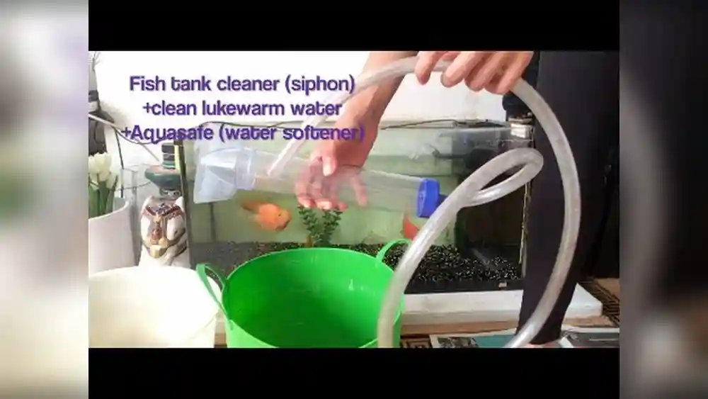 How to Use Fish Tank Siphon With Hand Pump