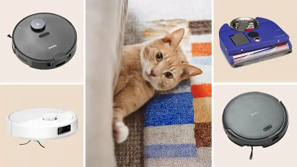 What is the Best Automatic Vacuum for Pet Hair