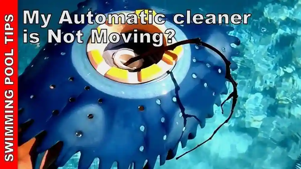 Why is My Automatic Pool Vacuum Not Moving